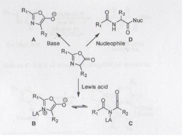 Σχήμα 3: Η δραστικότητα των οξαζολονών 1.3. Αμινοξέα-Δυναμική κινητική ανάλυση (DKR)- Εναντιοεκλεκτική ακυλίωση-οξαζόλες- Πυρρόλια- Iμιδαζόλια- Πυρρολίνες (Pyrrolines)- Ιμιδαζολίνες( Imidazolines).
