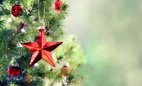 ΧΡΙΣΤΟΥΓΕΝΝΙΑΤΙΚΕΣ ΕΚΔΗΛΩΣΕΙΣ 2016 Οι Χριστουγεννιάτικες Εκδηλώσεις των Βρεφονηπιακών Σταθμών πραγματοποιήθηκαν από τις 16 Δεκεμβρίου έως τις 23