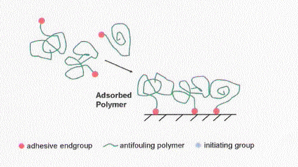 ΣΤΡΑΤΗΓΙΚΕΣ ΕΠΙΚΑΛΥΨΗΣ ΕΠΙΦΑΝΕΙΩΝ ΜΕ ANTIFOULING AGENTS Στρατηγική graft-to : επικάλυψη της επιφάνειας