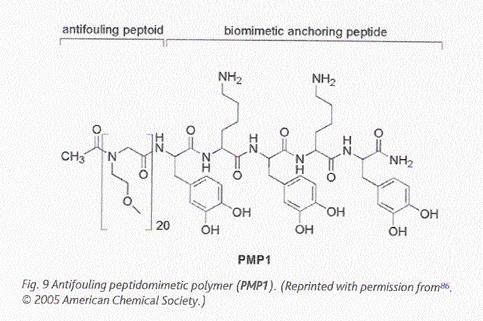 ΠΑΡΑΔΕΙΓΜΑ ΒΙΟΜΙΜΗΤΙΚΟΥ ANTIFOULING