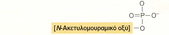 Σχ.78. Η βακτοπρενόλη.