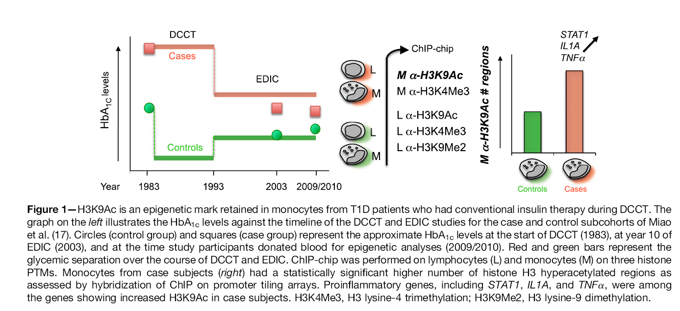 The DCCT/EDIC Study: Epigenetic Clues After 3 Decades The most hyperacetylated