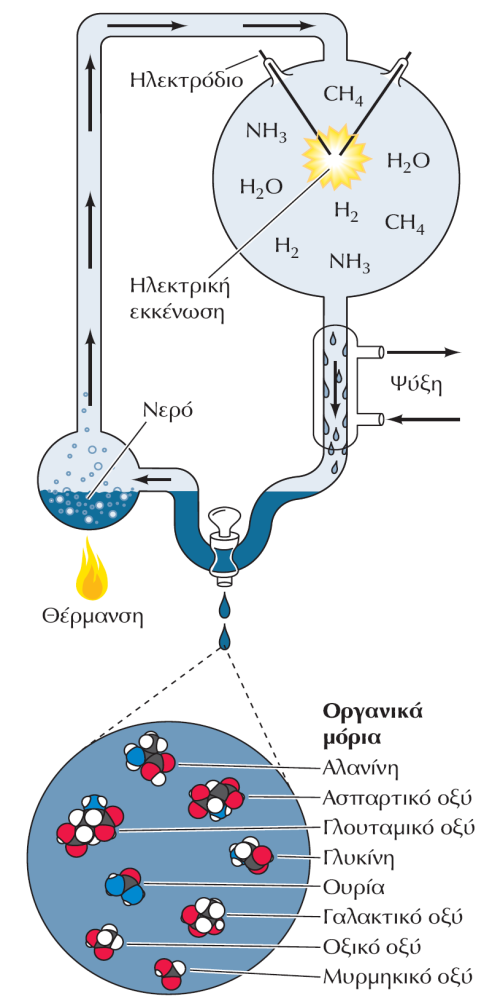 Δημιουργία οργανικών μορίων σε προβιωτικές συνθήκες Το πείραμα των Miller- Urey. Σε αέριο μείγμα που περιείχε CH 4, NH 3, H 2 και υδρατμούς προκλήθηκε ηλεκτρική εκκένωση.