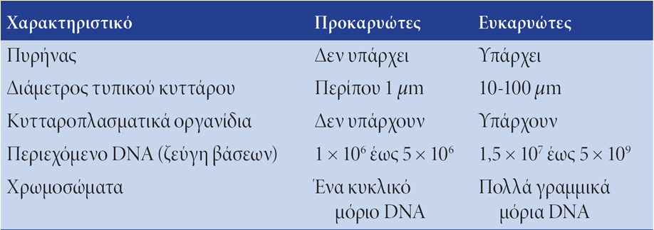 Διαφορές μεταξύ προκαρυωτικών και ευκαρυωτικών κυττάρων Ακαδημαϊκές Εκδόσεις