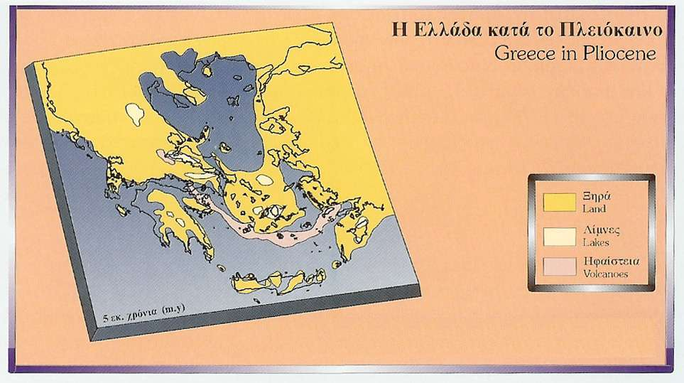 Παλαιογραφική εξέλιξη του νοτίου