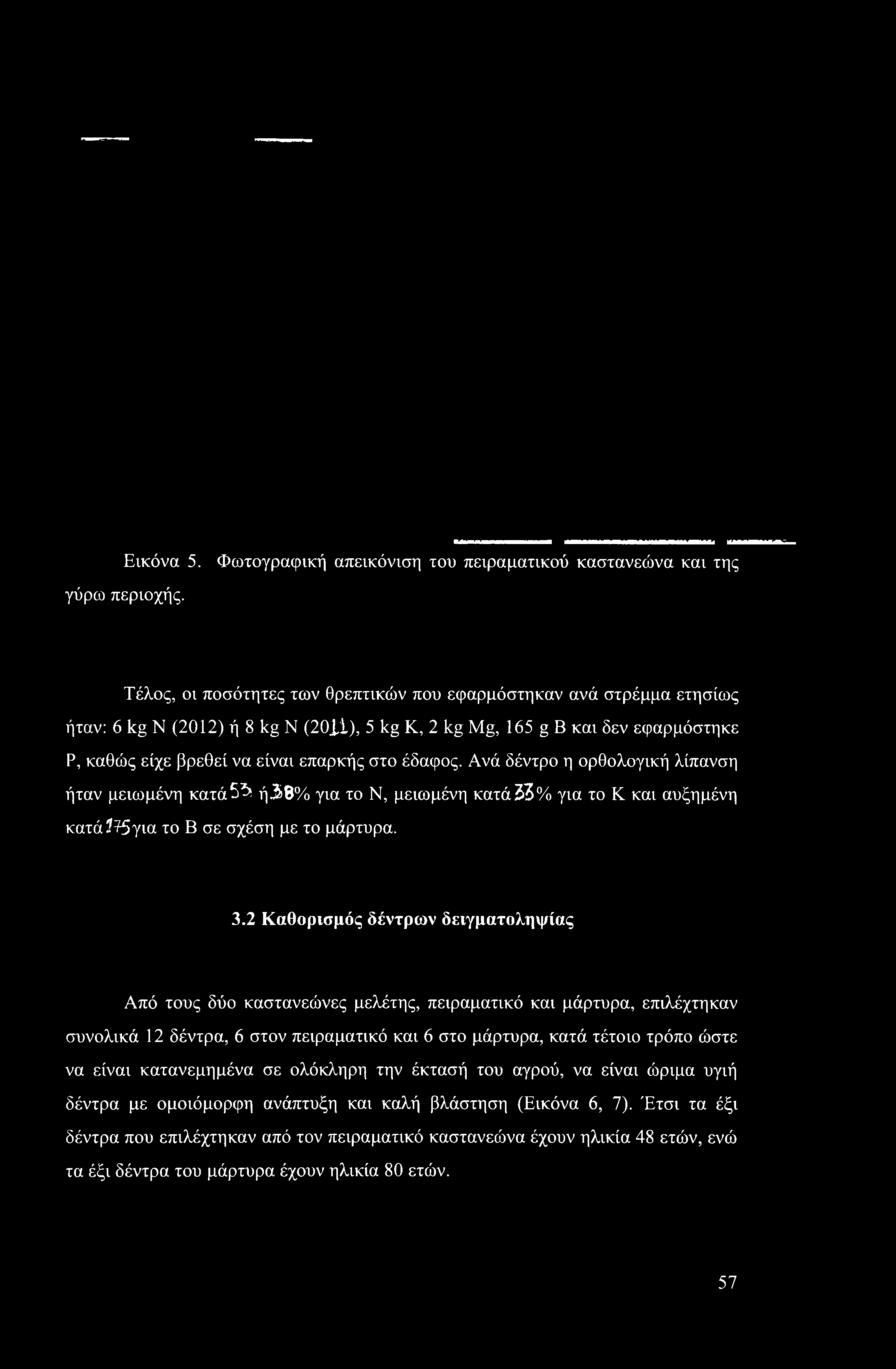 Εικόνα 5. Φωτογραφική απεικόνιση του πειραματικού καστανεώνα και της γύρω περιοχής.