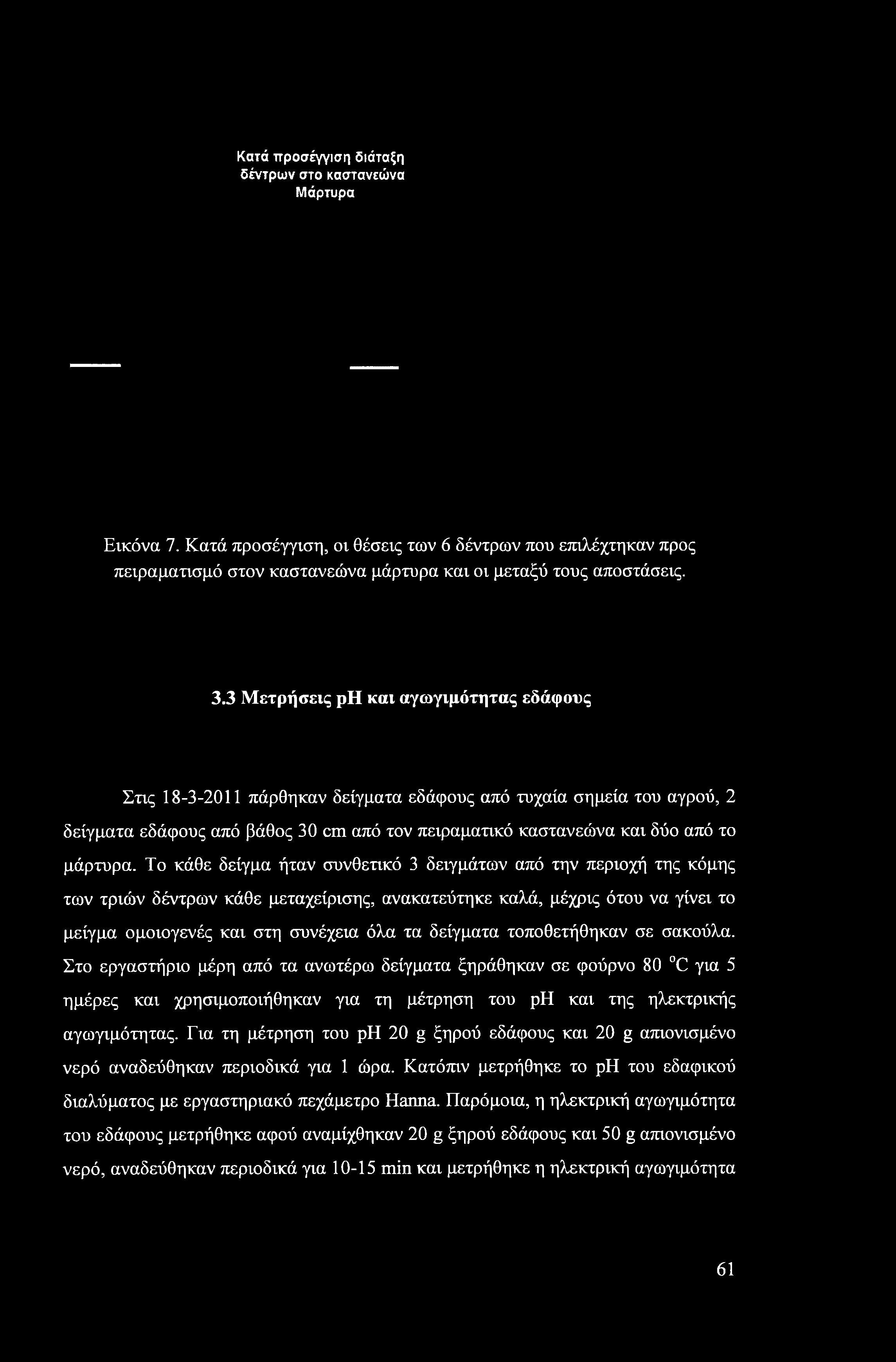 Κατά προσέγγιση διάταξη δέντρων στο καστανεώνα Μάρτυρα Εικόνα 7. Κατά προσέγγιση, οι θέσεις των 6 δέντρων που επιλέχτηκαν προς πειραματισμό στον καστανεώνα μάρτυρα και οι μεταξύ τους αποστάσεις. 3.