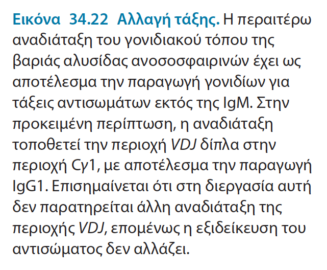 Καηά ηε δηαθνξνπνίεζε ησλ Β ιεκθνθπηηάξσλ κπνξεί λα πξνθύςεη αιιαγή ηάμεο.