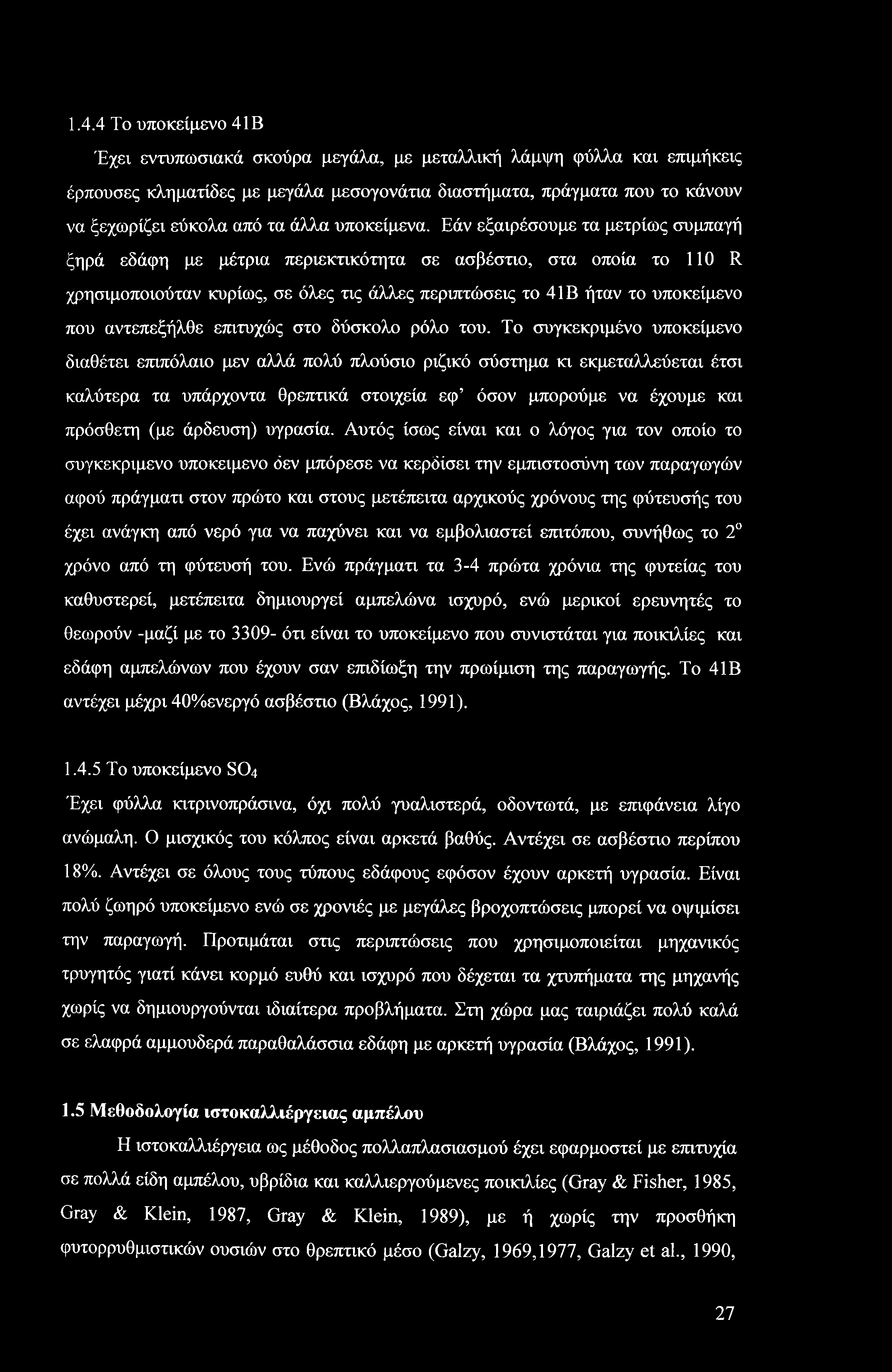 1.4.4 Το υποκείμενο 41B Έχει εντυπωσιακά σκούρα μεγάλα, με μεταλλική λάμψη φύλλα και επιμήκεις έρπουσες κληματίδες με μεγάλα μεσογονάτια διαστήματα, πράγματα που το κάνουν να ξεχωρίζει εύκολα από τα