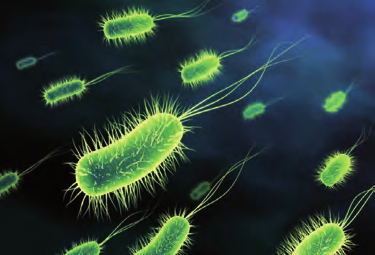 9 NÝï áíôéìéêñïâéáêü óýóôçìá óùëþíùí Ø16 - Ø63 MEDISOL AM - MEDIFLEX AM Το νέο αντιμικροβιακό σύστημα σωλήνων Μεσαίου Τύπου (750Nt) MEDISOL ΑΜ - MEDIFLEX AM έχει σχεδιαστεί αποκλειστικά για να
