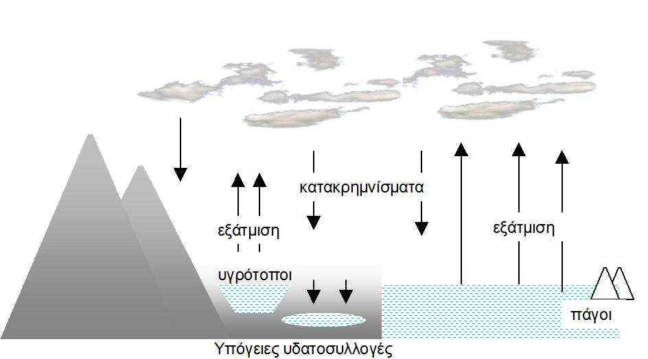 Μνινλφηη ην ζψκα ησλ δσληαλψλ νξγαληζκψλ απνηειείηαη θαηά κεγάιν πνζνζηφ (~ 71%) απφ λεξφ, ην πνζνζηφ ηνπ δεζκεπκέλνπ ζηελ νξγαληθή χιε λεξνχ είλαη κηθξφ.