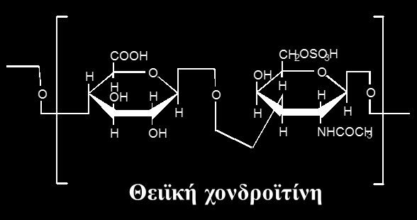 Γλυκοζαμινογλυκάνια (α) Σημαντικός ρόλος στη δομική ακεραιότητα του συνδετικού ιστού. ετεροπολυσακχα