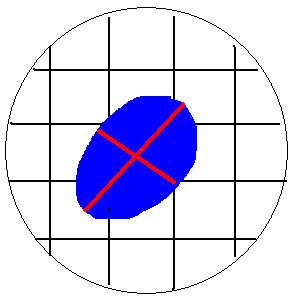 Če to naredimo, ugotovimo, da je premer vidnega polja pod 40 x povečavo 5 mm, pod 100 x povečavo 2 mm in pod 400 x povečavo pa 0,5 mm.potem lahko približno ocenimo koliko je opazovani predmet velik.