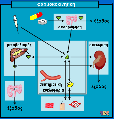 Pharmacokinetics: : How