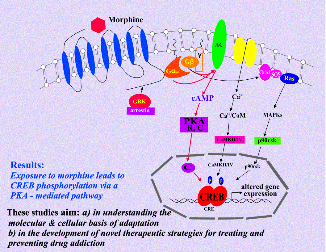 SIGNALING CIRCUITS