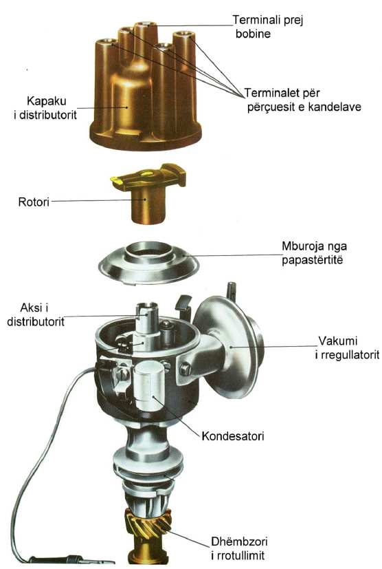 d) Rotori, një bashkues elektrik i rrotullueshëm, që furnizon me tension të lartë secilin terminal (pol) të kapakut të distributorit dhe në përçuesit e kandelave. Fig.