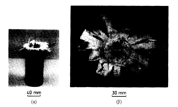 Μηχανισμοί Αστοχίας στην Αξονική Κατάρρευση Σύνθετων Σωλήνων προς τα μέσα υπό τη μορφή μανιταριού, εξού και η συγκεκριμένη κατάρρευση ονομάζεται αστοχία τύπου "μανιταριού" (Εικόνα 4.1).