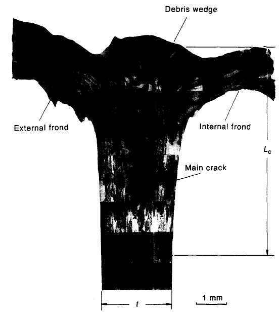 Μηχανισμοί Αστοχίας στην Αξονική Κατάρρευση Σύνθετων Σωλήνων Εικόνα 4.