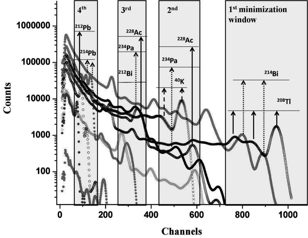 Fig. 4.6: Representation of the 10 standard spectra and the minimization windows assuming typical values for the activity concentrations of the radionuclides.