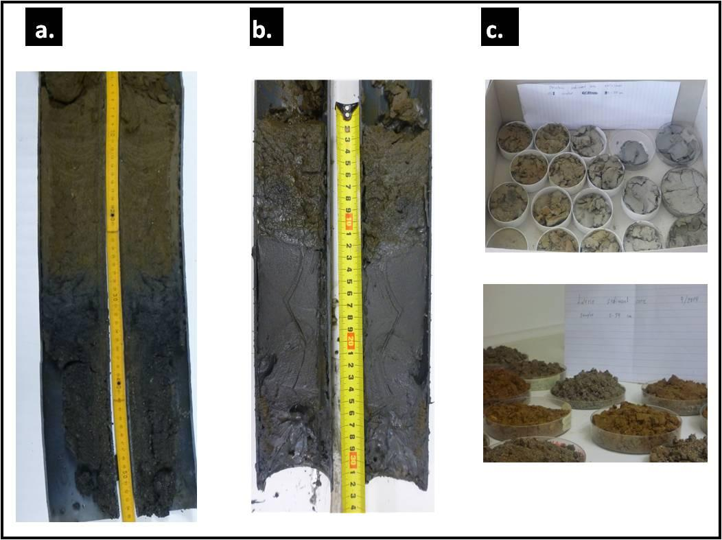 The two collected cores (one from each site) are depicted together in Fig. 5.22 along with a picture of the dried sediment samples.