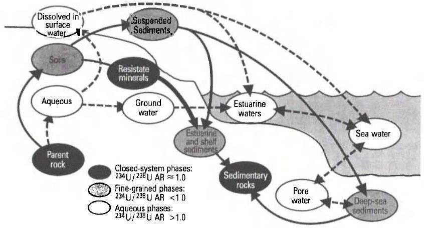 Fig. 2.12: Different transport processes causing fractionation and variations in the 234 U/ 238 U ratio (Ivan_94).