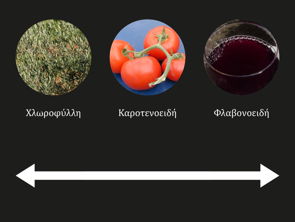 Εισαγωγή Ο τομέας της πρωτογενούς παραγωγής είναι ζωτικός παράγοντας της Εθνικής Οικονομίας και καλύπτει σε μεγάλο βαθμό τις εγχώριες επισιτιστικές ανάγκες προσφέροντας την πρώτη ύλη σε αρκετές
