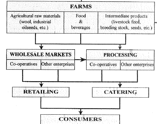 Downstream markets- Η αιπζίδα δηαλνκήο ησλ ηξνθίκσλ