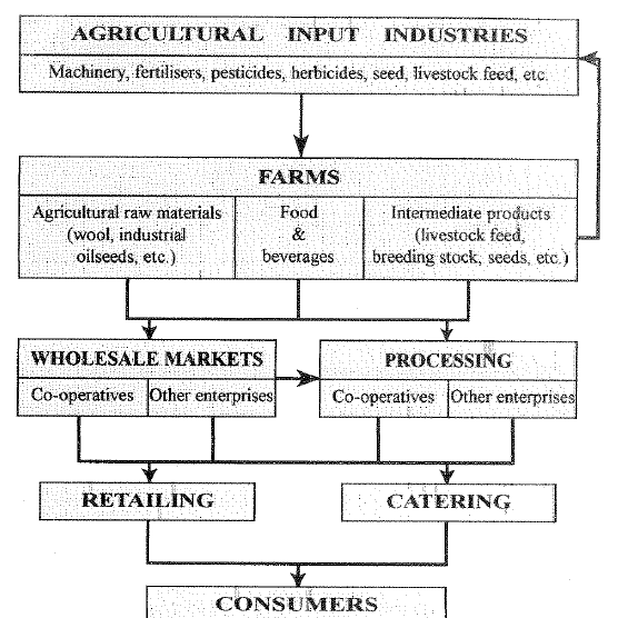 Food chain Supply chain