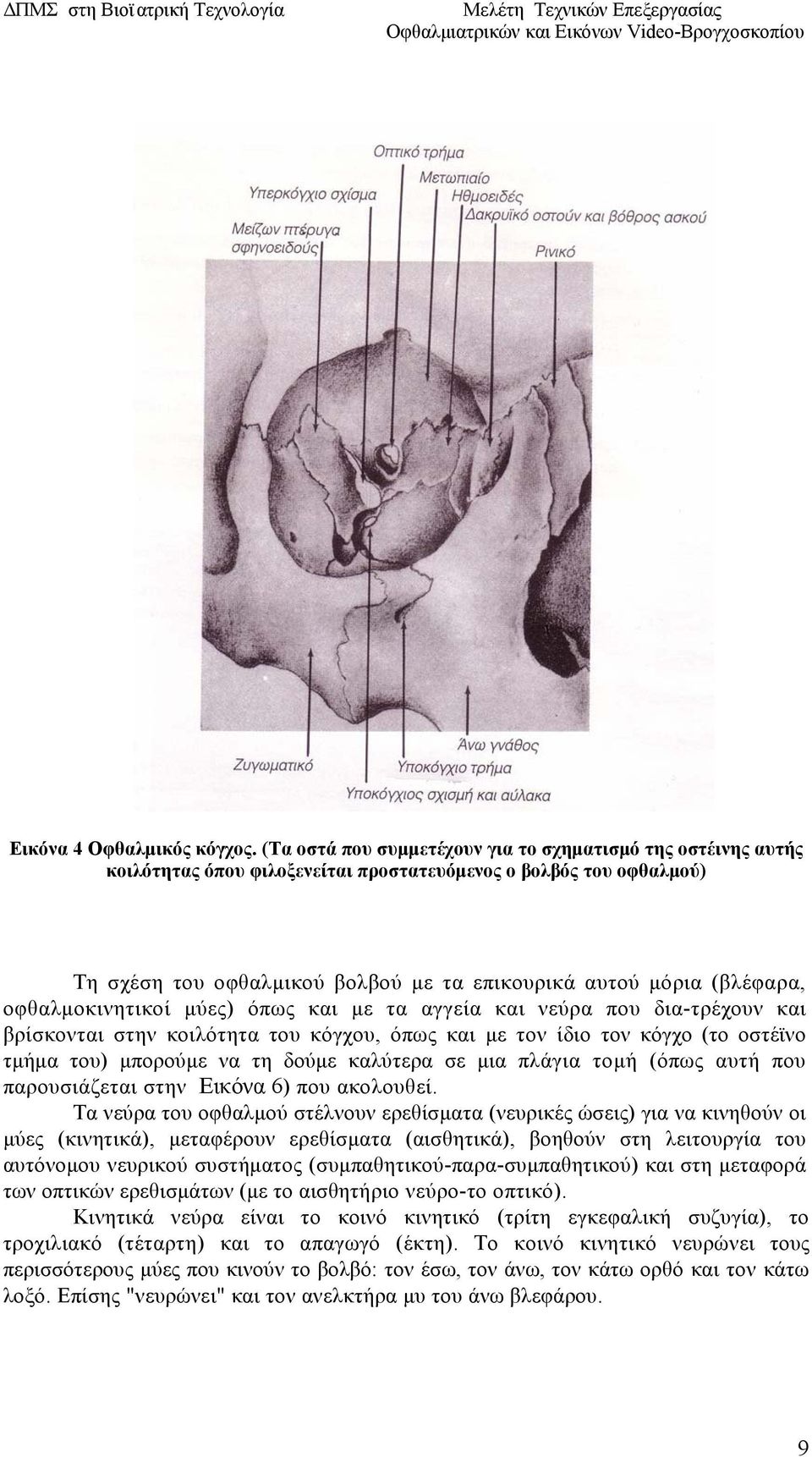 οφθαλμοκινητικοί μύες) όπως και με τα αγγεία και νεύρα που δια-τρέχουν και βρίσκονται στην κοιλότητα του κόγχου, όπως και με τον ίδιο τον κόγχο (το οστέϊνο τμήμα του) μπορούμε να τη δούμε καλύτερα σε