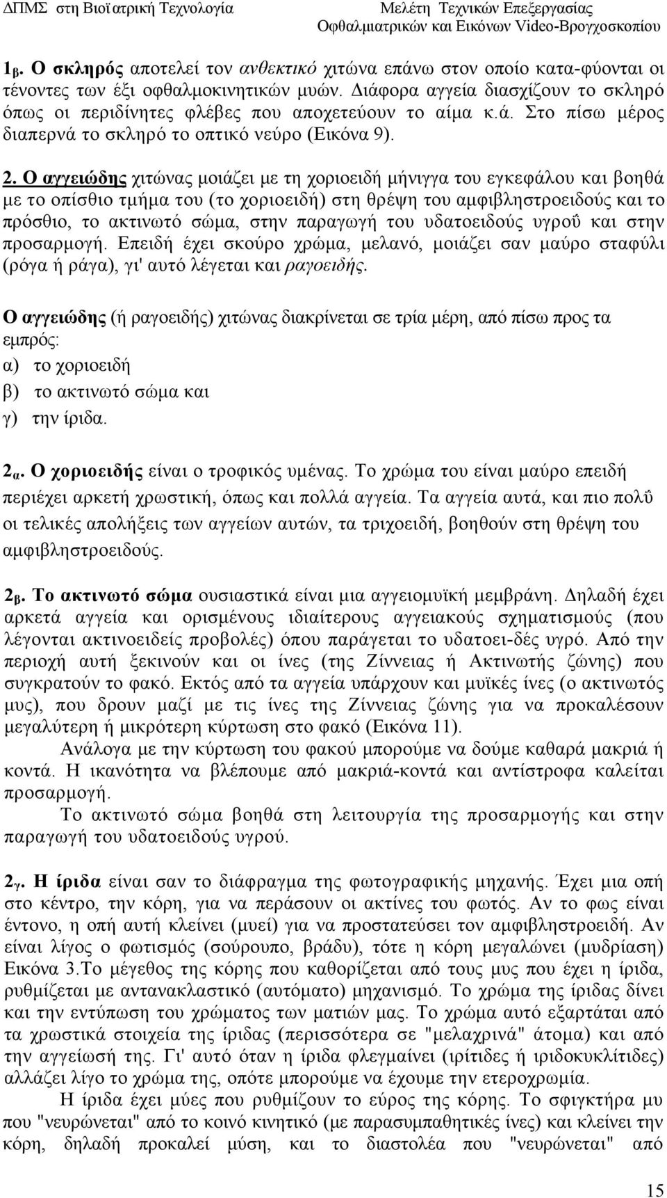 Ο αγγειώδης χιτώνας μοιάζει με τη χοριοειδή μήνιγγα του εγκεφάλου και βοηθά με το οπίσθιο τμήμα του (το χοριοειδή) στη θρέψη του αμφιβληστροειδούς και το πρόσθιο, το ακτινωτό σώμα, στην παραγωγή του