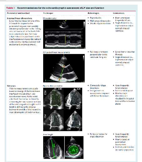 LV function Contrast -3D L.