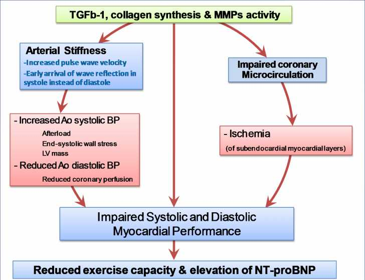 Ikonomidis et al Cur Opinion Cardiol