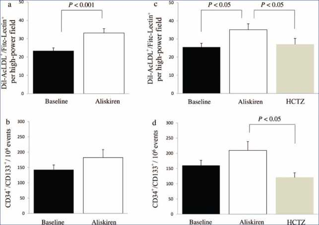 Effect of Aliskiren on Circulating Endothelial Progenitor Cells and Vascular Function in