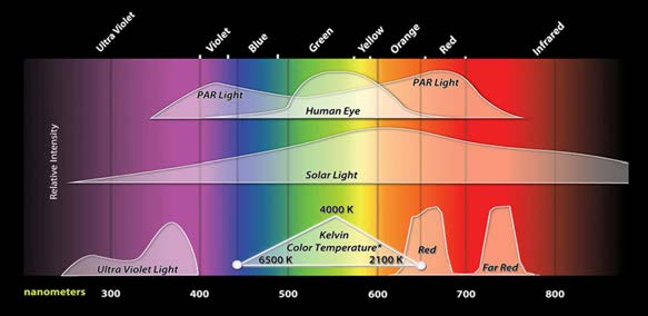 Sensors RGB