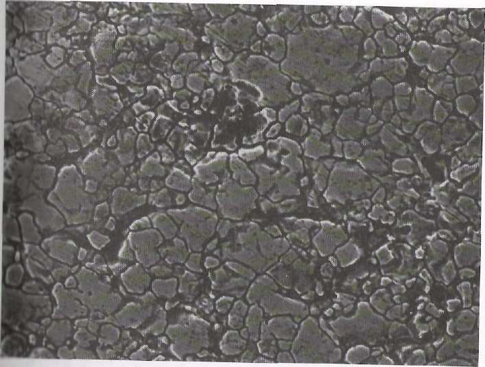 µικροοργανισµοί, έχει αναφερθεί ότι είναι υπεύθυνα για την διάβρωση µε ρωγµές (Schweitzer,2004). ιάβρωση µε βελονισµούς.