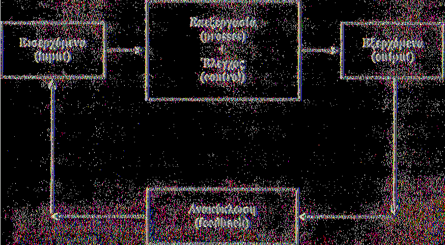 5. Ανακύκλωση (feedback): Πληροφόρηση από την έξοδο επιστρέφει στην είσοδο για να προσαρμοστεί η επεξεργασία ούτως ώστε να επιτευχθεί εκ νέου η επιθυμητή έξοδος.