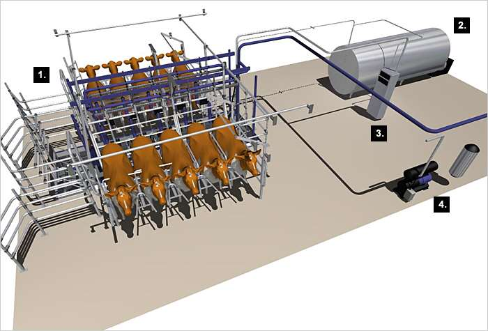 Mόνιμες με δίκτυο σωληνώσεων (Pipe-line type) 1/2 Ο τύπος αυτός χρησιμοποιείται τόσο σε στάβλους όσο και σε