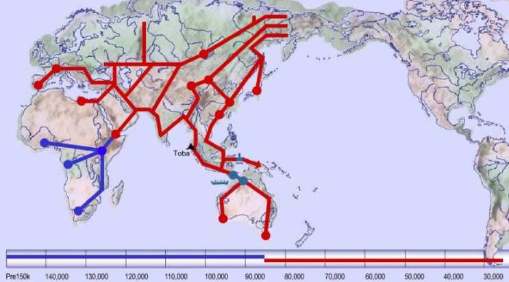 10η εικόνα: 40.000-25.000: Μετακινούνται προς την Σιβηρία και προς την Δυτική Ευρώπη (Γαλλία, Ισπανία, Πορτογαλία). Εκείνη την εποχή ζωγραφίζουν στις σπηλιές Chauvet στη Γαλλία υπέροχα έργα τέχνης 25.