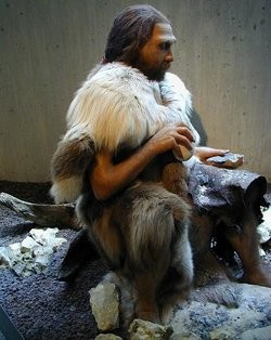 Μέρος 4ο Άνθρωπος του Νεάντερταλ (Homo neanderthalensis) Ο Άνθρωπος του Νεάντερταλ θεωρείται ο πρώτος μας ξάδελφος γιατί είναι το πρώτος είδος sapiens.