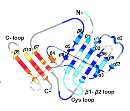 ΣΤ. Συζήτηση τμήματα της πρωτεΐνης υπόκεινται σε εγγενή κινητικότητα σε διαφορετικές κλίμακες χρόνου NMR.