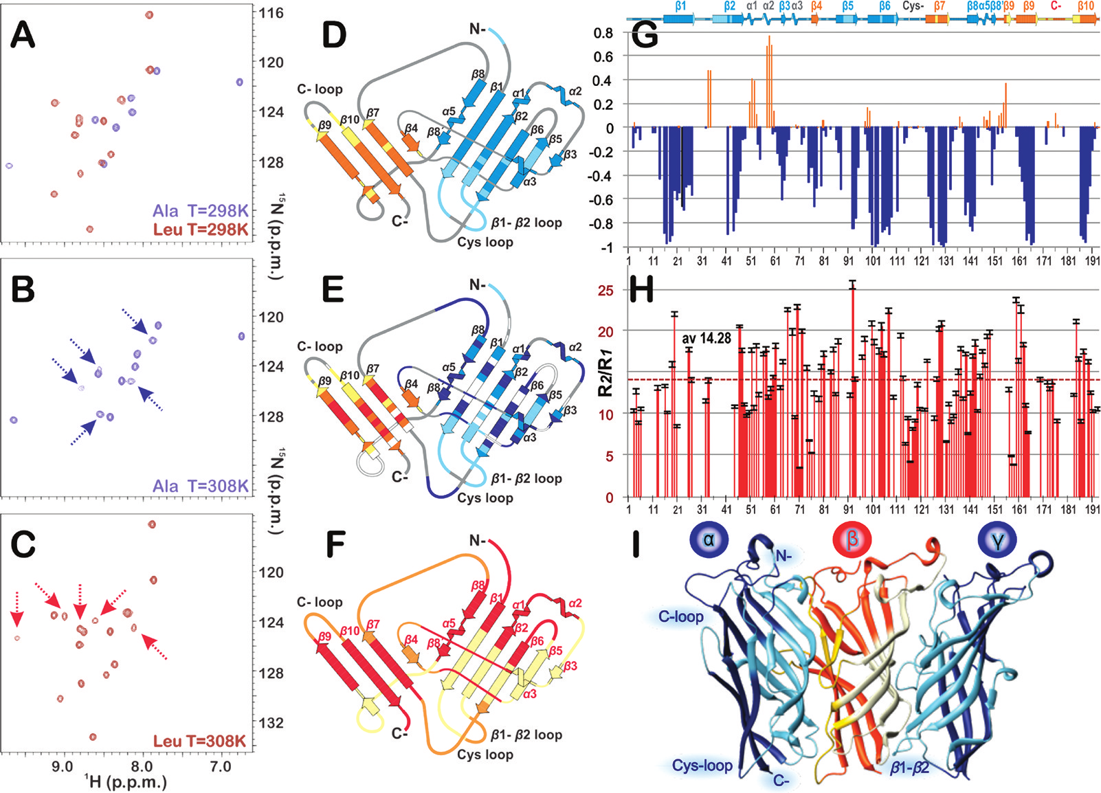 Biochemistry Rapid Report Figure 1. (A) Overlay of the 1H 15N HSQC spectra (298 K) of GLICECD selectively labeled with [15N]Ala and [15N]Leu.