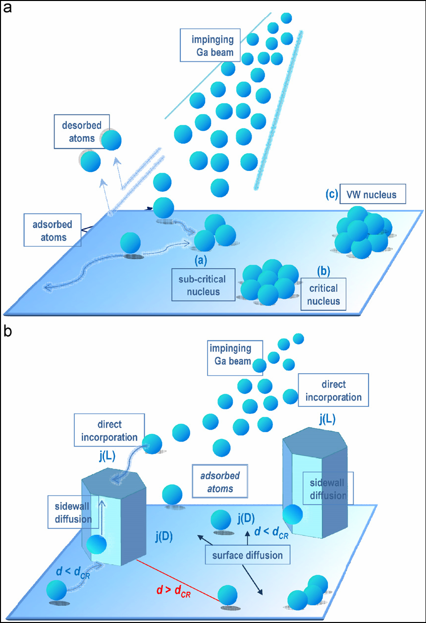 προσροφημένων ατόμων Ga (Ga ad-atoms) το οποίο εξαρτάται τόσο από την θερμοκρασία όσο και το λόγο III / V (Σχ. 21α). Σχ. 21. α) Διάγραμμα που δείχνει πως προχωρά η πυρηνοποίηση.