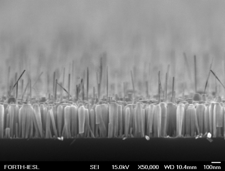 a Σχ. 42. Εικόνες SEM κάτοψης (α) και διατομής (β) νανοκολώνων InGaN που αναπτύχθηκαν στους 650 º C [8]. b Για τις κορυφές των νανοκολώνων παρατηρήθηκε τραπεζοειδής μορφολογία (Σχ.