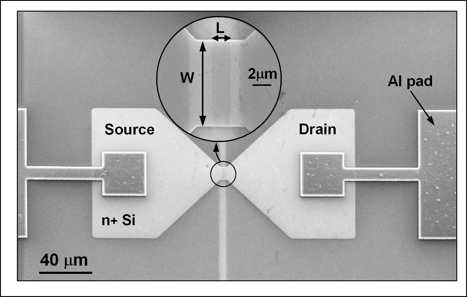 Νανοσωµατίδια όµως µπορούν να κατασκευασθούν και µε χηµική σύνθεση Transmission electron micrograph of Au