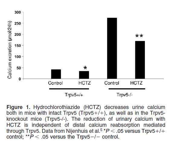 Μηχανισμός της υπασβεστιουρικής δράσης των θειαζιδών στο εγγύς σωληνάριο Αναστολή της TRPV5 δεν αναστέλλει την υπασβεστιουρική δράση της θειαζίδης Σε μελέτες με μικροπαρακέντηση επιβεβαιώθηκε ότι με