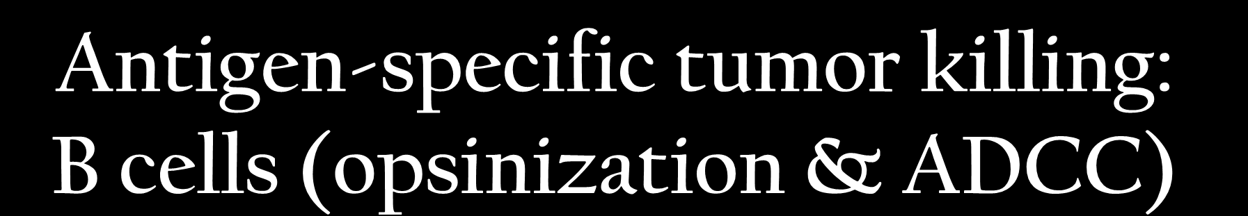 Antigen-specific tumor killing: B cells (opsinization & ADCC) sig