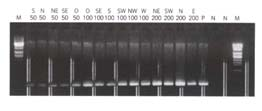 Οριζόντια Γονιδιακή Μεταφορά (Horizontal Gene Transfer: HGT) Ο κεντρικός ρόλος των βακτηριδίων στην Οριζόντια Γονιδιακή Μεταφορά (HGT) Μεταφορά γενετικής πληροφορίας μεταξύ σύγχρονων γενεών