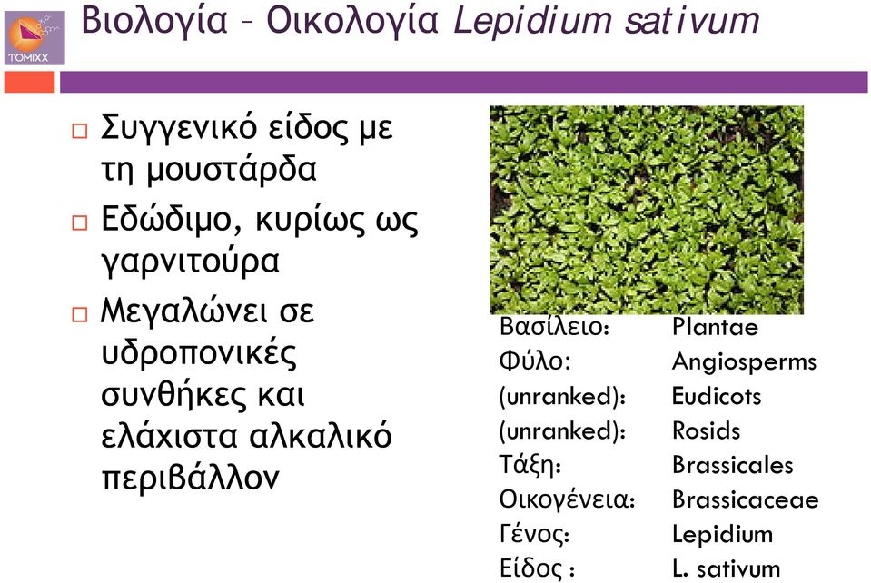 περιβάλλον Βασίλειο: Plantae Φύλο: Angiosperms (unranked): Eudicots (unranked):