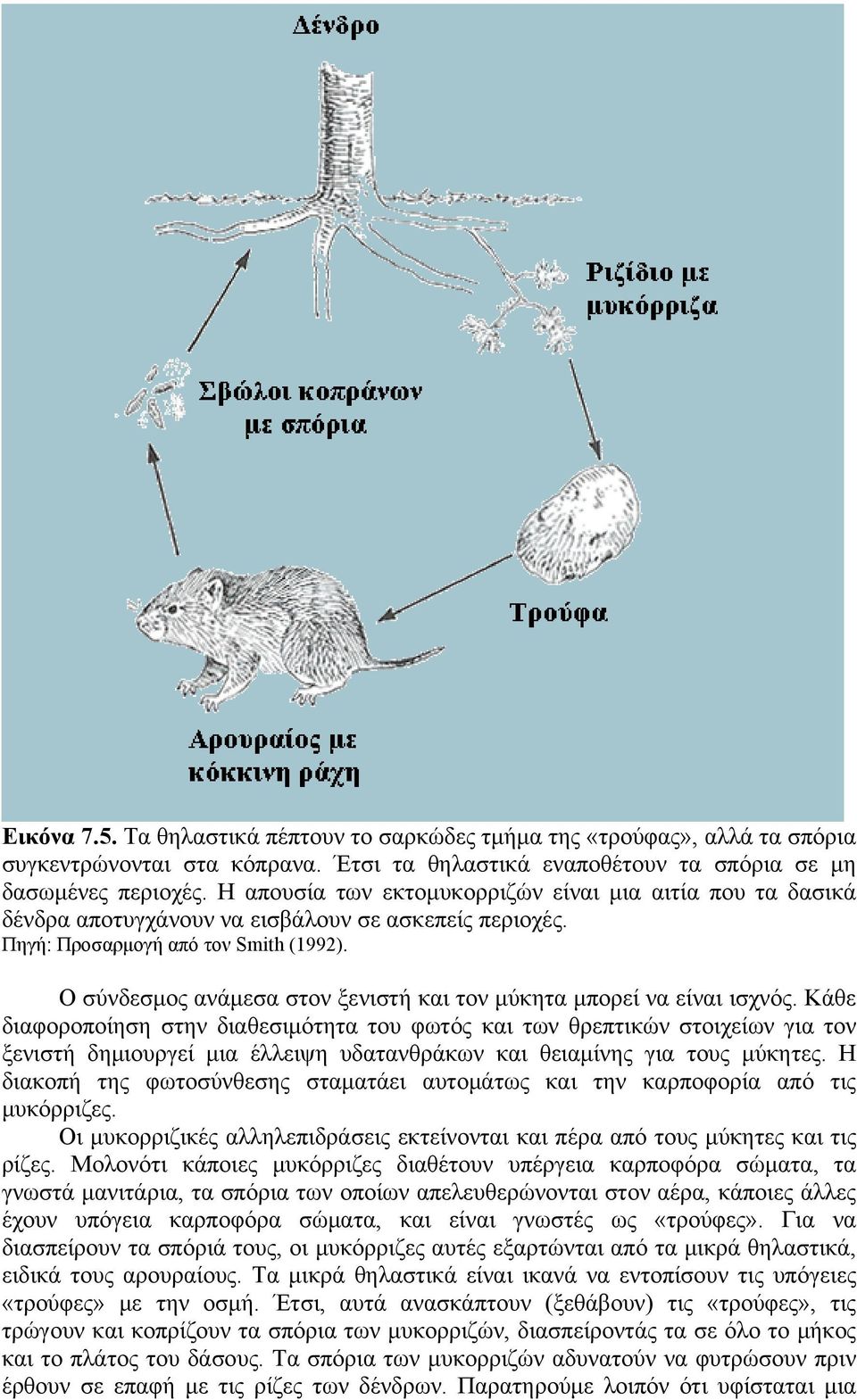 Ο σύνδεσμος ανάμεσα στον ξενιστή και τον μύκητα μπορεί να είναι ισχνός.