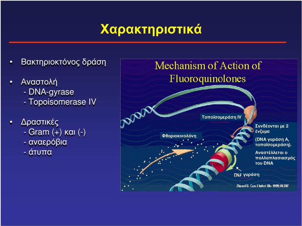 άτυπα Φθοριοκινολόνη Τοποϊσοµεράση IV Συνδέονται µε 2 ένζυµα
